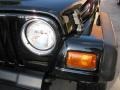 1999 Black Jeep Wrangler SE 4x4  photo #21