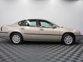 Sandrift Metallic - Impala  Photo No. 6