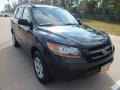 Ebony Black - Santa Fe GLS Photo No. 1