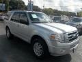 Ingot Silver Metallic - Expedition XLT Photo No. 1