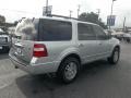 Ingot Silver Metallic - Expedition XLT Photo No. 3