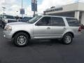 Ingot Silver Metallic - Expedition XLT Photo No. 6