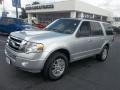 Ingot Silver Metallic - Expedition XLT Photo No. 7