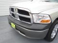 2009 Light Graystone Pearl Dodge Ram 1500 SLT Crew Cab  photo #9