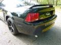 1999 Black Ford Mustang GT Coupe  photo #31