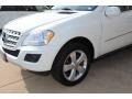 Arctic White - ML 350 4Matic Photo No. 6