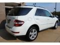 Arctic White - ML 350 4Matic Photo No. 12