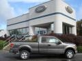 Sterling Gray Metallic - F150 XLT SuperCab 4x4 Photo No. 1