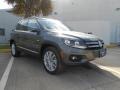 Pepper Gray Metallic - Tiguan SE Photo No. 1