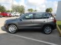 Pepper Gray Metallic - Tiguan SE Photo No. 4