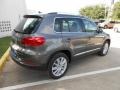 Pepper Gray Metallic - Tiguan SE Photo No. 7