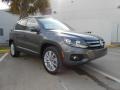 Pepper Gray Metallic - Tiguan SE Photo No. 1