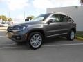 Pepper Gray Metallic - Tiguan SE Photo No. 3