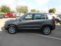 Pepper Gray Metallic - Tiguan SE Photo No. 4