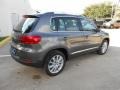 Pepper Gray Metallic - Tiguan SE Photo No. 7