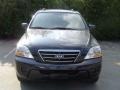 2008 Midnight Blue Kia Sorento LX  photo #11