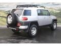 Titanium Metallic - FJ Cruiser 4WD Photo No. 3