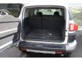 Titanium Metallic - FJ Cruiser 4WD Photo No. 17