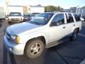 Silverstone Metallic - TrailBlazer LS 4x4 Photo No. 2