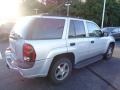 Silverstone Metallic - TrailBlazer LS 4x4 Photo No. 12