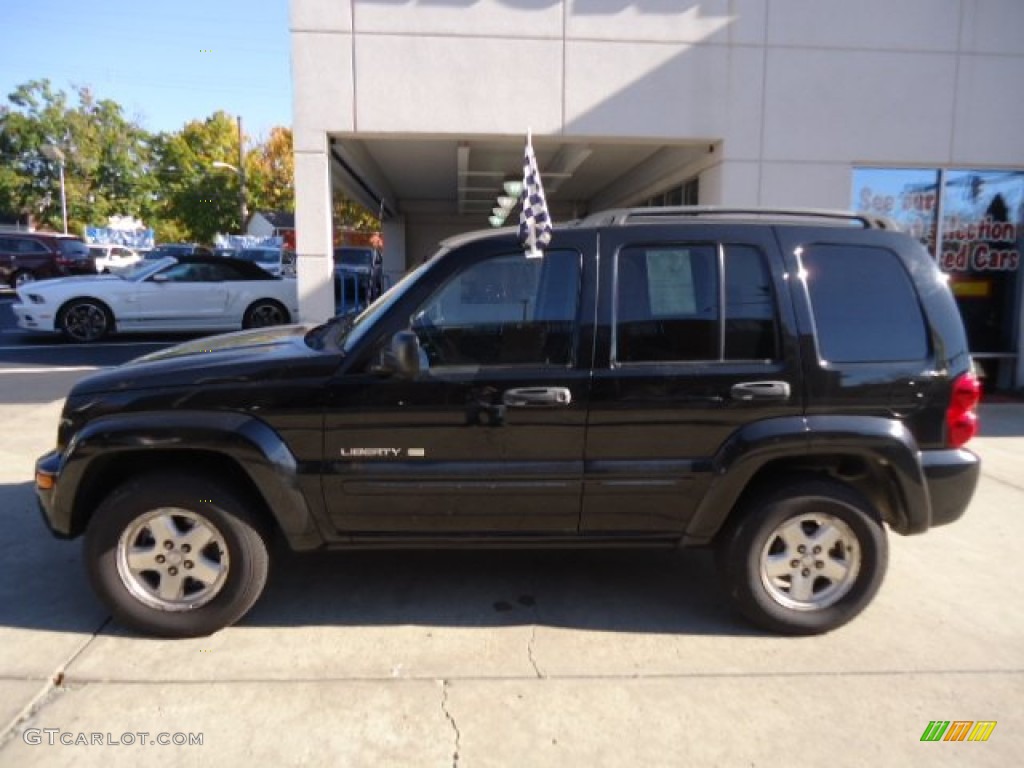 2002 Liberty Limited 4x4 - Black / Dark Slate Gray photo #2