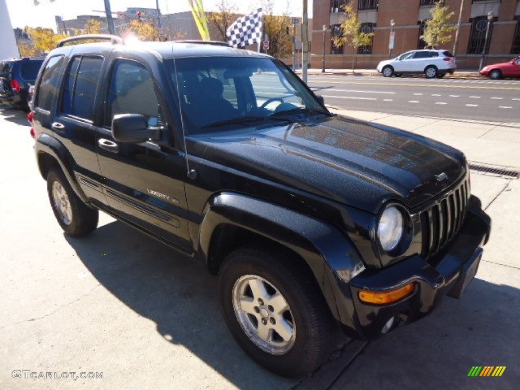 2002 Liberty Limited 4x4 - Black / Dark Slate Gray photo #3