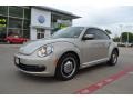 Moonrock Silver Metallic - Beetle 2.5L Photo No. 1