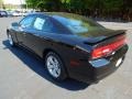 Pitch Black - Charger SE Photo No. 4