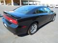 Pitch Black - Charger SE Photo No. 5