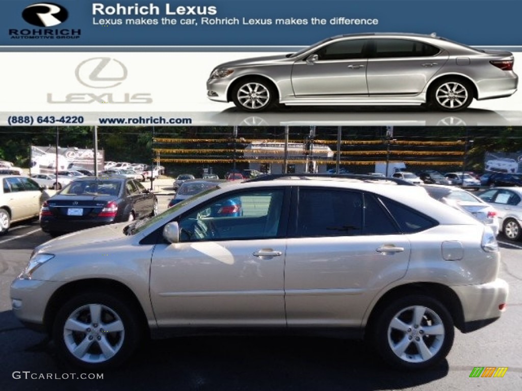 Savannah Metallic Lexus RX