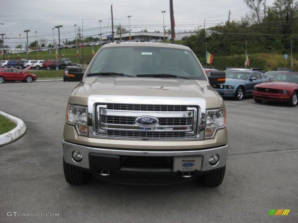 2013 F150 XLT SuperCrew 4x4 - Pale Adobe Metallic / Adobe photo #3