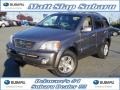 Alpine Gray - Sorento LX Photo No. 1