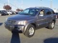 Alpine Gray - Sorento LX Photo No. 2