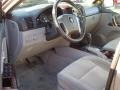 Alpine Gray - Sorento LX Photo No. 11