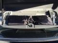 Alpine White - 7 Series 745Li Sedan Photo No. 34