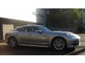 Platinum Silver Metallic - Panamera Turbo Photo No. 1