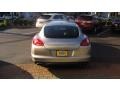 Platinum Silver Metallic - Panamera Turbo Photo No. 6