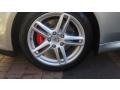 Platinum Silver Metallic - Panamera Turbo Photo No. 22