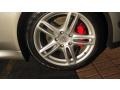 Platinum Silver Metallic - Panamera Turbo Photo No. 23