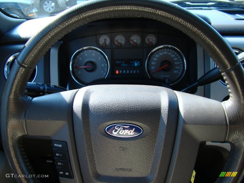 2010 F150 XLT SuperCrew 4x4 - Ingot Silver Metallic / Medium Stone photo #18