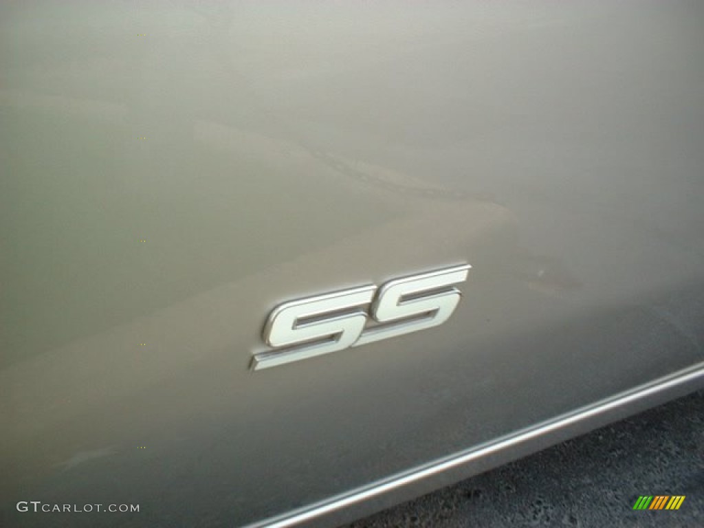 2006 TrailBlazer SS AWD - Silverstone Metallic / Ebony photo #4