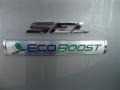 2013 Ingot Silver Metallic Ford Escape SEL 1.6L EcoBoost  photo #7