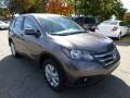 2013 Urban Titanium Metallic Honda CR-V EX AWD  photo #6