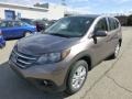 2013 Urban Titanium Metallic Honda CR-V EX AWD  photo #8