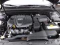 Platinum Graphite - Optima LX Photo No. 18
