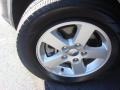 Dark Charcoal Pearl - Grand Caravan SXT Photo No. 20