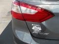 Sterling Gray - Focus S Sedan Photo No. 6