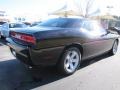 Pitch Black - Challenger SXT Photo No. 3