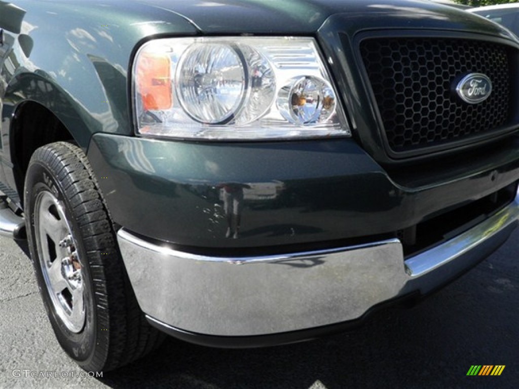 2005 F150 XLT SuperCab - Aspen Green Metallic / Tan photo #2