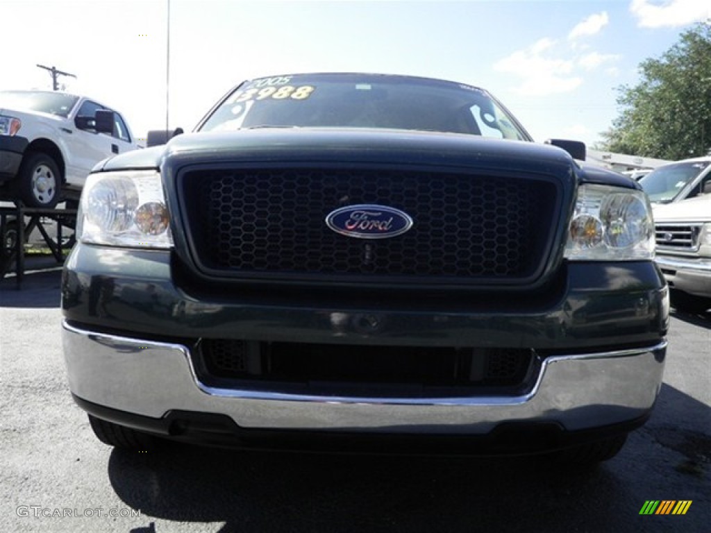 2005 F150 XLT SuperCab - Aspen Green Metallic / Tan photo #4